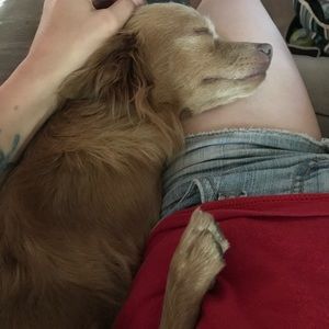 Meet your Posher, Samantha